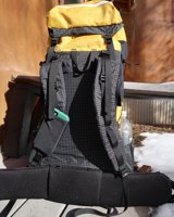 @itemsbycharlie (with their own designed brain added)